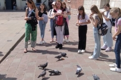 krakow_40