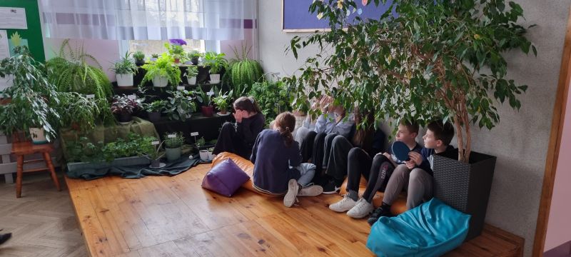 Więcej o: Kącik zieleni „Zdobią i leczą” w naszej szkole w wykonaniu klas 1-3